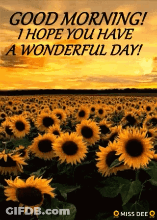 A Field Of Sunflowers With The Words `` Good Morning ! I Hope You Have A Wonderful Day ! `` GIF