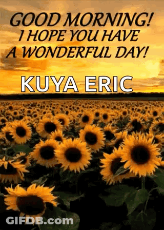 A Field Of Sunflowers With The Words `` Good Morning , I Hope You Have A Wonderful Day ! '' GIF