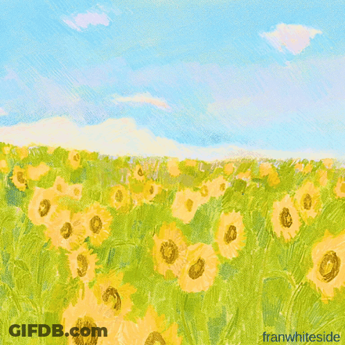 A Field Of Sunflowers With The Words Good Morning Sunshine GIF