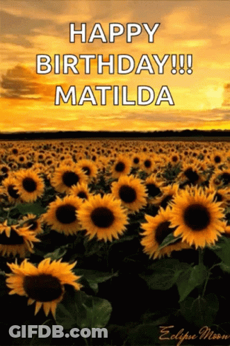 A Field Of Sunflowers With The Words Happy Birthday Matilda Written On The Bottom GIF