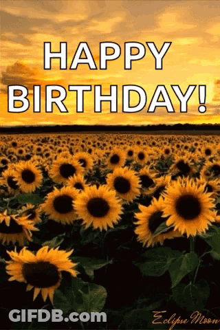 A Field Of Sunflowers With The Words Happy Birthday On It GIF