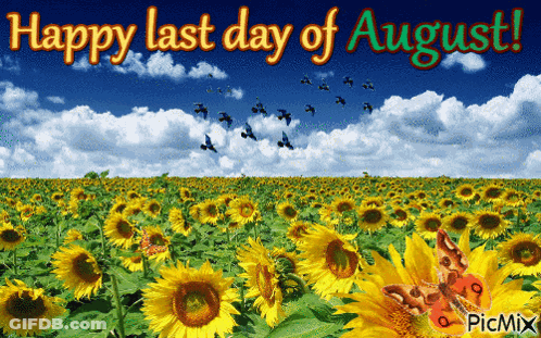 A Field Of Sunflowers With The Words Happy Last Day Of August Written Above It GIF