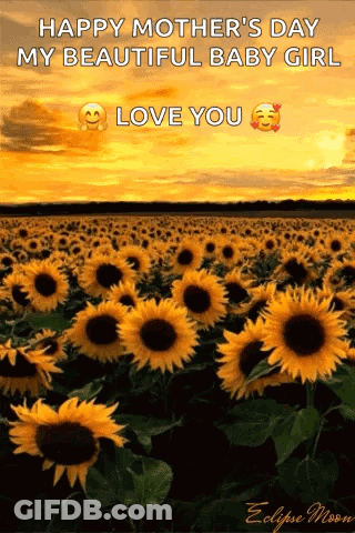 A Field Of Sunflowers With The Words Happy Mother 'S Day My Beautiful Baby Girl Love You . GIF