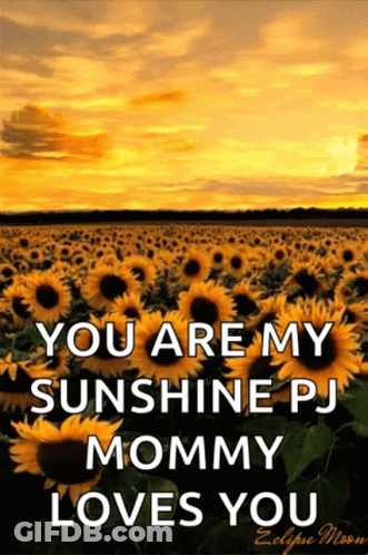 A Field Of Sunflowers With The Words " You Are My Sunshine Pj Mommy Loves You " On It GIF
