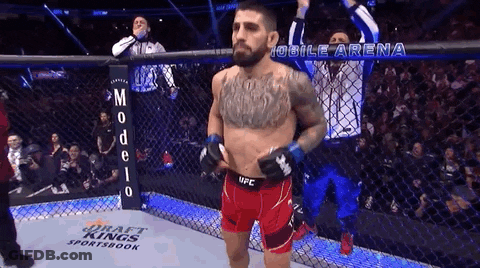 A Fighter In A Cage With A Banner That Says Mobile Arena On It GIF