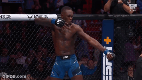 A Fighter In A Cage With A Sign That Says Ufc GIF