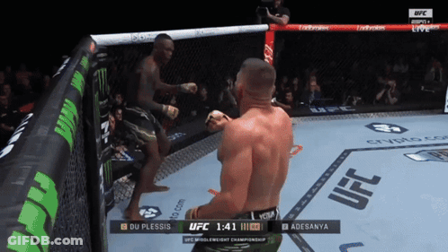 A Fighter In A Cage With The Word Ufc On The Corner GIF