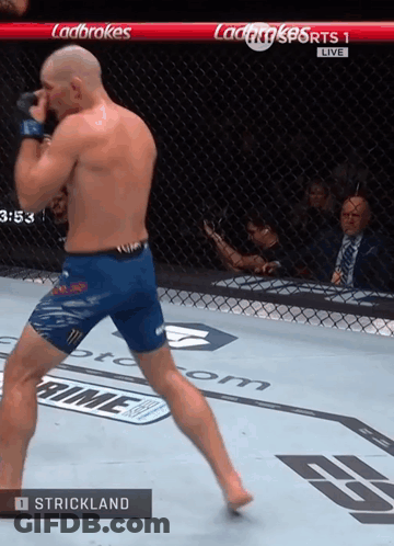 A Fighter Named Strickland Is In A Cage During A Fight GIF