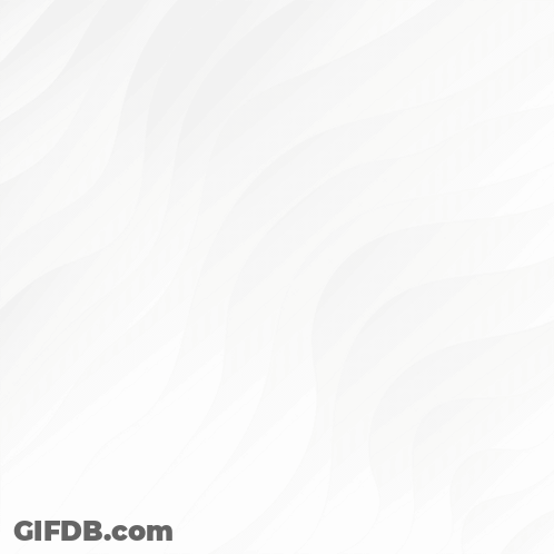 A Fine Line Builders Llc Kitchen Rei Contracto Minneapol Flyer GIF