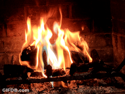 A Fire Burns In A Fireplace With The Letter N Visible GIF