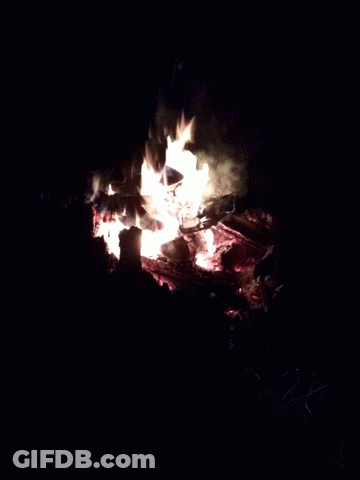 A Fire Is Burning In The Dark And Looks Like A Monster GIF