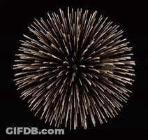 A Firework Display With The Words Lady Valiant Written In Blue GIF