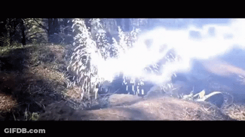 A Fireworks Display In The Woods With Smoke Coming Out Of It GIF