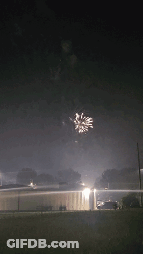 A Fireworks Display Is Going Off In The Night Sky GIF