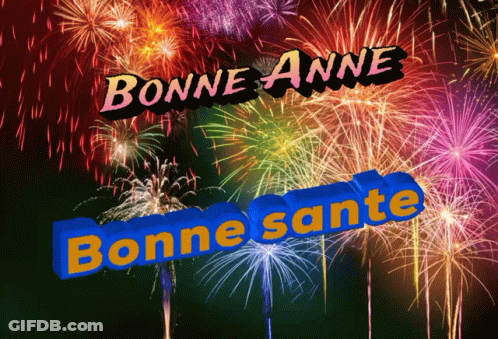 Fireworks With Bonne Anne Bonne Sante GIF