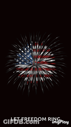 A Fireworks Display With The Words " Let Freedom Ring " Below It GIF