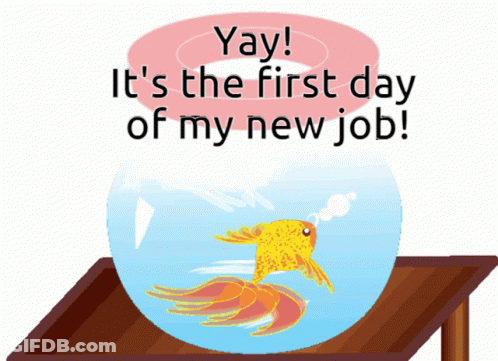 A Fish In A Bowl With The Words Yay It 'S The First Day Of My New Job Below It GIF