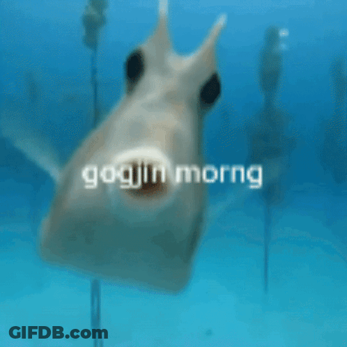 A Fish In The Water With The Words Goojin Morng On It GIF