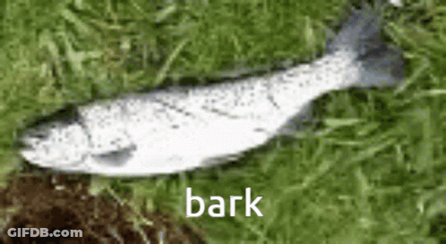A Fish Is Laying In The Grass With The Word Bark Written On The Bottom GIF