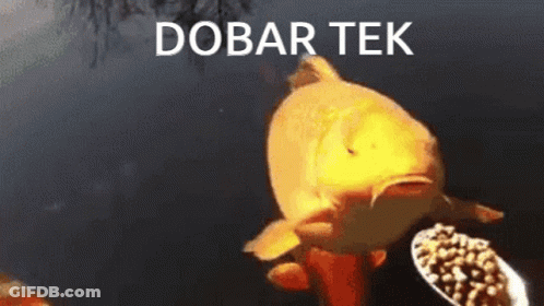 A Fish Is Looking At A Bowl Of Food With The Words Dobar Tek Written Above It GIF