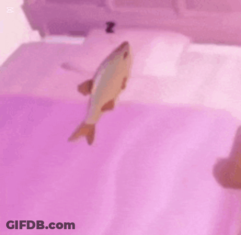 A Fish Is Sleeping On A Bed With The Words " Sssss Kimya Uyuyor " Above It GIF