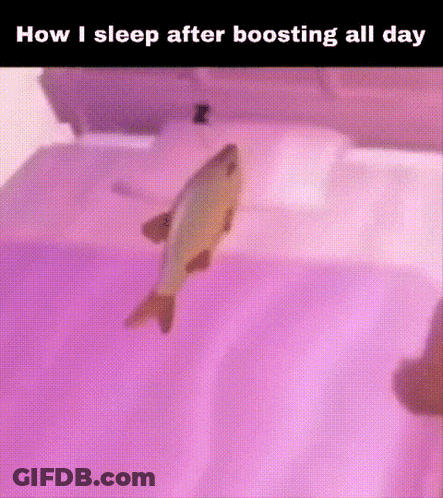 A Fish Is Swimming In A Bathtub With A Caption That Says How I Sleep After Boosting All Day GIF