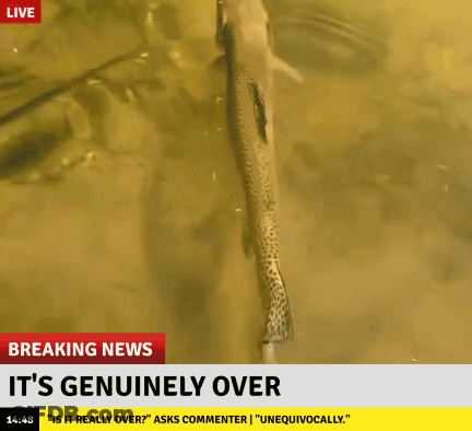 A Fish Is Swimming In A Body Of Water With A Breaking News Headline That Says It 'S Genuinely Over GIF