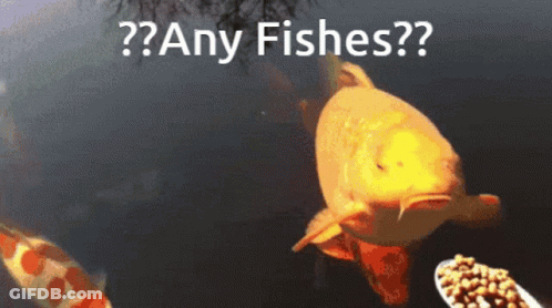 A Fish Is Swimming In A Pond With The Words Any Fishes Written Above It GIF
