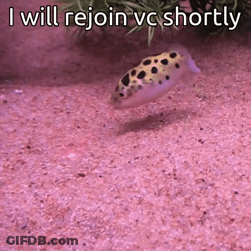 A Fish Is Swimming In The Sand With The Words " I Will Rejoin Vc Shortly " Written Above It GIF