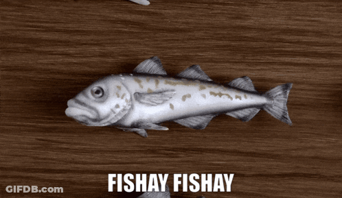A Fish On A Wooden Table That Says Fishay Fishay On It GIF