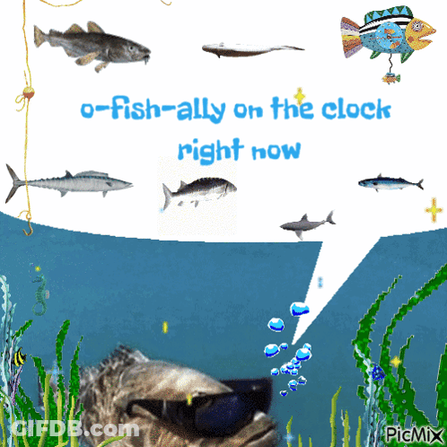 A Fish Wearing Sunglasses Is Surrounded By Other Fish And A Speech Bubble That Says O-Fish-Ally On The Clock GIF