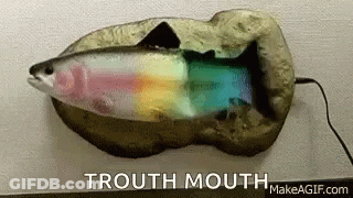 A Fish With A Rainbow In Its Mouth Is Sitting On A Rock On A Table . GIF