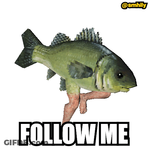 A Fish With Human Legs And The Words Follow Me GIF
