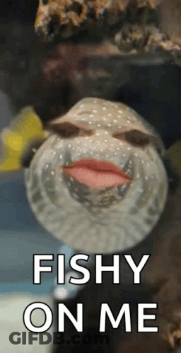 A Fish With Lipstick On Its Lips And The Words Fishy On Me GIF