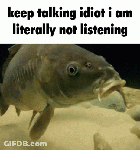 A Fish With The Words Keep Talking Idiot I Am Literally Not Listening GIF