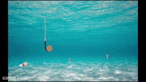 Fishing Hook Hanging In Water GIF