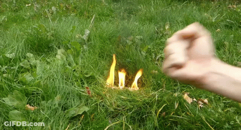 A Fist Is Being Thrown At A Fire In The Grass GIF