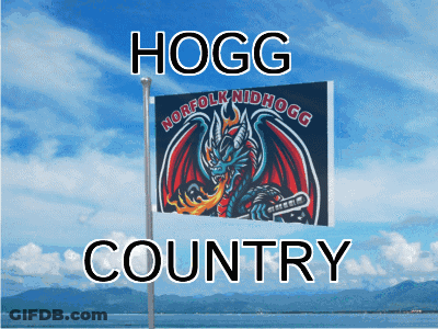 A Flag That Says Hogg Country On It With A Dragon On It GIF