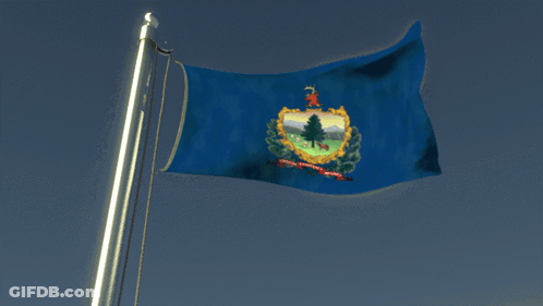 A Flag That Says ' Vermont ' On It Is Flying In The Wind GIF