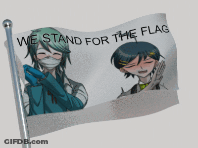 A Flag That Says " We Stand For The Flag " GIF