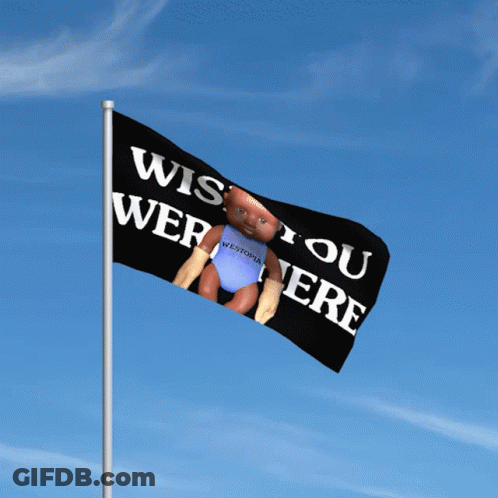 A Flag That Says " Wish You Were Here " On It GIF