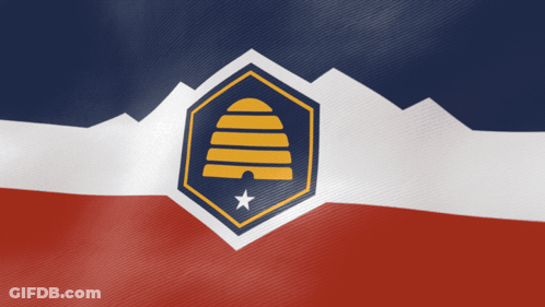 A Flag With A Beehive On It And A Star GIF