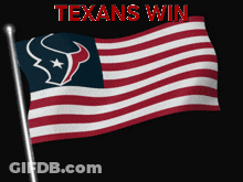 A Flag With A Bull On It And The Word Texans Win Above It GIF
