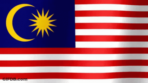 A Flag With A Crescent Moon And A Star On It GIF