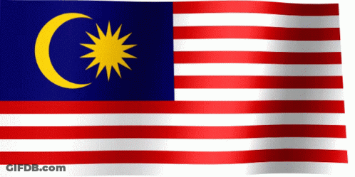 A Flag With A Crescent Moon And A Star On It GIF