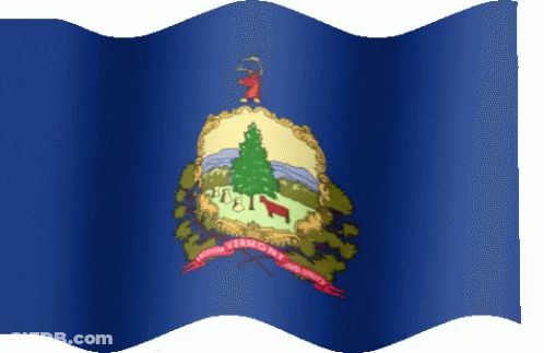 A Flag With A Deer On Top Of It That Says Patriot On It GIF