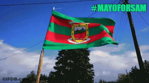 A Flag With A Horseshoe On It Is Flying In The Wind GIF