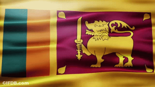 A Flag With A Lion And Sword On It GIF