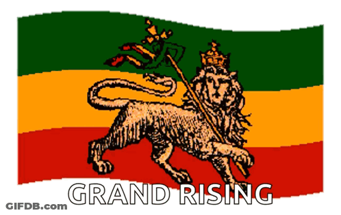 A Flag With A Lion On It And The Words Grand Rising GIF