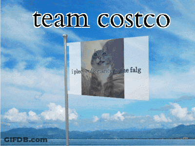 A Flag With A Picture Of A Cat And The Words Team Costco On It GIF